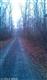 Jeffersonton