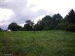 6580  Roy Shafer Road , Middletown, MD