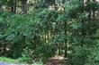 245  Sunset Circle Circle 