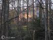 3021  Leefield Drive , Herndon, VA