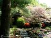 2117  Glencourse Lane , Reston, VA