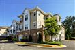 7870 Rolling Woods Court #3202, Springfield, VA 22152