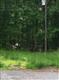 6005  Salaberry Street , Fairfax, VA