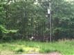 5905  Salaberry Street , Fairfax, VA