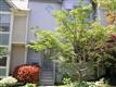 9688  Poindexter Court , Burke, VA