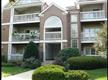 6109  Wigmore Lane , Alexandria, VA