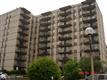 3245  Rio Drive , Falls Church, VA