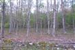 Wardensville