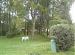 2604  Thorny Drive 