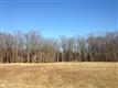 1609  Henry Way , Forest Hill, MD