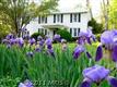 10304  Madison Drive 