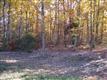 15  Pine Harbour Drive , Mineral, VA