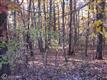 183  Hunt Haven Drive , Mineral, VA