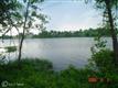 14  Shady Oaks Lane , Louisa, VA