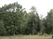 18418 Sydnor Hill Court, Leesburg, VA 20175