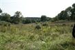  North Fork Rd, Purcellville, VA 20132