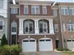 43580  Wild Ginger Terrace 