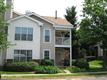 21013  Timber Ridge Terrace 