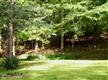36807  Ramblewood Lane , Middleburg, VA