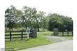 12128 Sunflower Field Place, Lovettsville, VA 20180