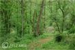 37751 Snickersville Turnpike, Purcellville, VA 20132
