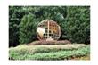 19385 Cypress Ridge Terrace #604, Leesburg, VA 20176