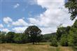 12323 Mountain Road, Lovettsville, VA 20180