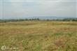 35857  Snickersville Turnpike , Purcellville, VA