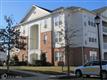22687  Blue Elder Terrace , Ashburn, VA
