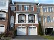 43590  Purple Aster Terrace , Leesburg, VA