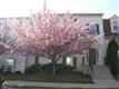 107  Fort Evans Road SE, Leesburg, VA