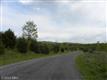 41064  Hickory Shade Lane 