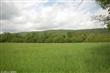   Mountain Road , Lovettsville, VA