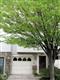 18609  Village Fountain Drive 