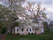 104  Chestnut Street 