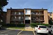 13207  Dairymaid Drive 