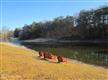 119  Marlin Way , Berkeley Springs, WV
