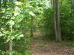   Mt Pleasant Drive , Locust Grove, VA