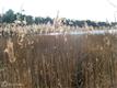 6509 Kent Point Road, Stevensville, MD 21666