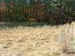 6509 Kent Point Road, Stevensville, MD 21666