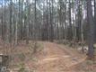 6509 Kent Point Road, Stevensville, MD 21666