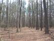 6509 Kent Point Road, Stevensville, MD 21666