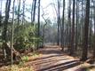 6509 Kent Point Road, Stevensville, MD 21666