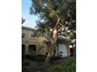 9802  Foxhall Way , Estero, FL