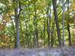 16  Country Club Cove , Sugar Tree, TN