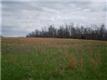 0  Batson Mill Rd , Southside, TN