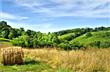 1411 Normandy Rd, Wartrace, TN 37183