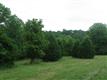 Woodlawn