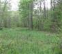 0  Forrest Lane , Dover, TN