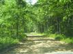 0  Jack Branch Rd , Waverly, TN